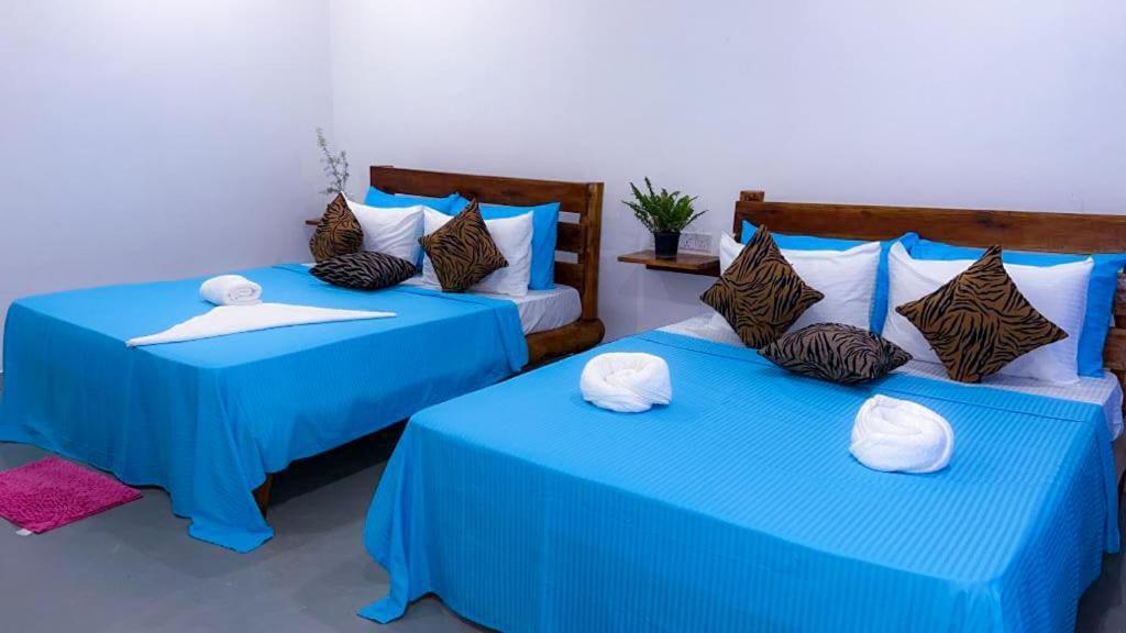 Lily Resort Udawalawe Exterior photo